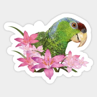 Amazona Guayabera Sticker